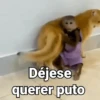 Monos con Frases 3🐒 15