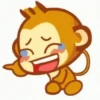 Monyet Lucu 🐵 (GIF) 9
