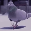 Animated 9 26