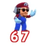 🔥TIKTOK RAMDON 3.0📲 28