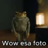 🐸 Sapo Concho 🐇Bad Bunny🎙 11