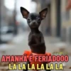 Feriado 8