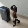 Monkykis 🐵🐵 5