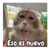 Eso es nuevo