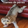 VIERNES DE...😎🎉 7