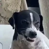 🎵 TIKTOKeando 47 🎵 18