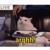 LIVE arghh!