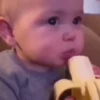 Bebés tiernos graciosos🤭👶 12