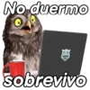 Animalitos funny random🐀🐷🐢 20