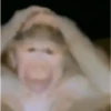 Macaquinhos 🐒 29