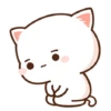 Kucing lucu 11