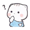 Cat Chan 12