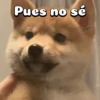 Perritos adorables 🐶🐕 4