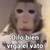Monos con Frases 3🐒 12