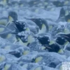 GIFs Bixins com Frio 2 🥶 15