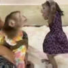 Mas monkey 24
