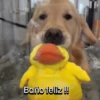 Funny Talking dogs 🐶🐾 10