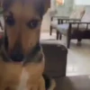 Reacciones tiktok 6 27