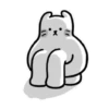 Meme Kucing Kocak GIF 7