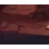 Bildirmece 21