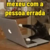 Gatos memes 6