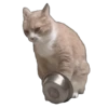 Meme Kucing Viral #2 🐱 5