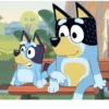 Bluey 24