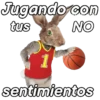 Animalitos funny random🐀🐷🐢 10