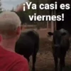 VIERNES DE...😎🎉 12