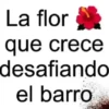 Thanos 🙏estás enojado conmigo👹 4