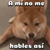 Perritos adorables 🐶🐕 14