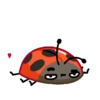 Catarina 1 🐞 18