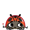 Catarina 1 🐞 24