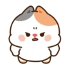 Enojo 16