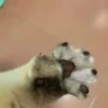 🔥 TIKTOK RAMDON 9.📱 13
