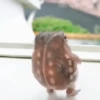 Rana saltando 🐸 5