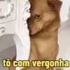 Doguinhos Animados🐶 10