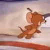 🐭 JERRY PAL CHAT 🧀 14