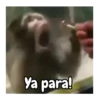 Ya para!