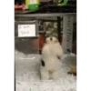 Perritos bailando pal chat 🤣 9