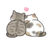 Meme Kucing Bucin Couple Cat 11