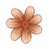 Plants and Flowers🌺🪴 20