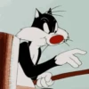 Gato Silvestre 16