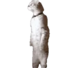 Gatos XD 😎 9
