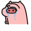 Meme Pink Pig 🐷 19