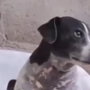 🎵 TIKTOKeando 47 🎵 5