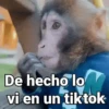 Monos con Frases 3🐒 14