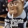 Monos con Frases 3🐒 9