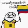 FLORK Colombia 🇨🇴😌✨ 6