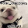 Funny Talking dogs 🐶🐾 9
